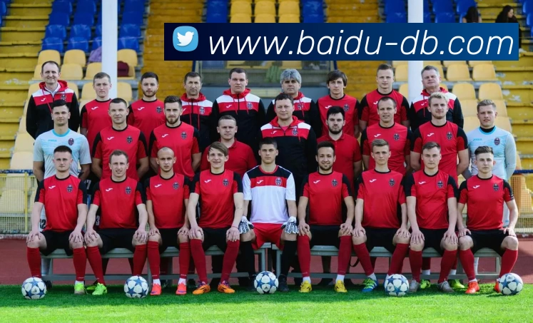 DB真人平台生态图